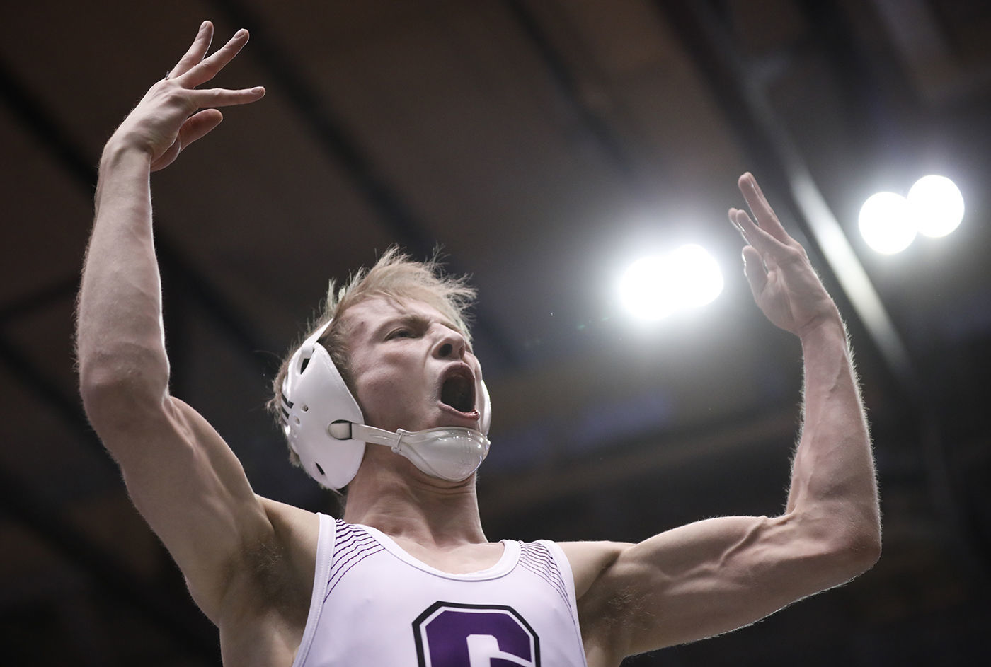 State Wrestling Finals